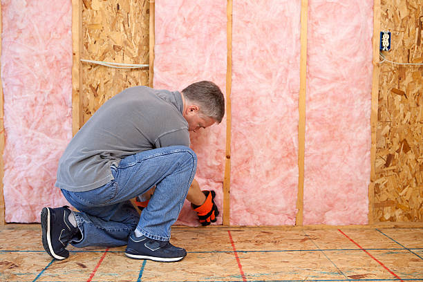 Best Commercial Insulation in Interlaken, CA